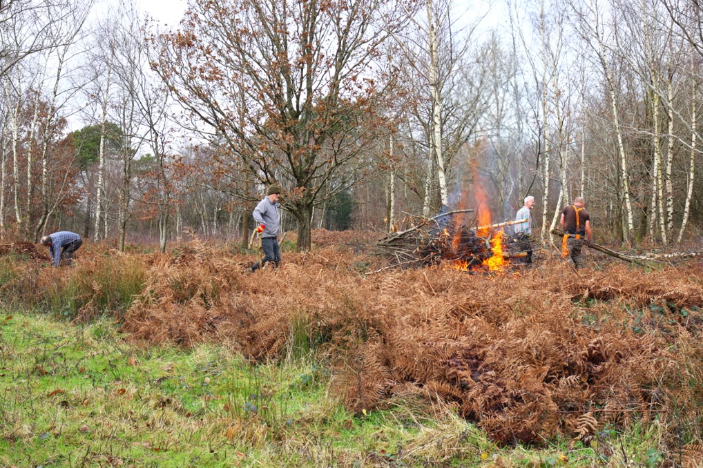 Volunteers at a work party